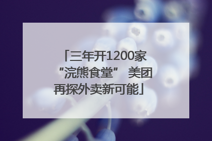 三年开1200家“浣熊食堂” 美团再探外卖新可能