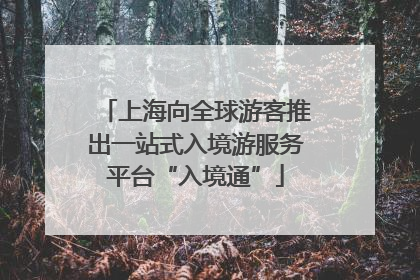 上海向全球游客推出一站式入境游服务平台“入境通”
