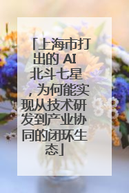 上海市打出的 AI 北斗七星，为何能实现从技术研发到产业协同的闭环生态