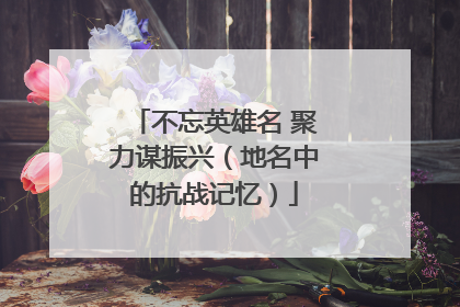 不忘英雄名 聚力谋振兴（地名中的抗战记忆）