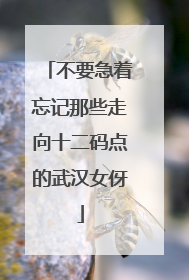 不要急着忘记那些走向十二码点的武汉女伢