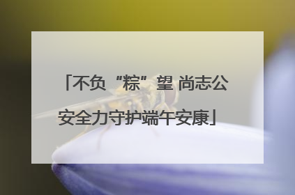 不负“粽”望 尚志公安全力守护端午安康