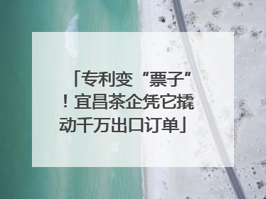 专利变“票子”！宜昌茶企凭它撬动千万出口订单