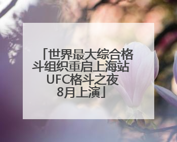 世界最大综合格斗组织重启上海站 UFC格斗之夜8月上演