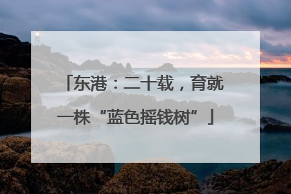 东港：二十载，育就一株“蓝色摇钱树”
