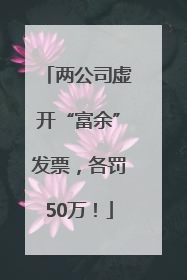 两公司虚开“富余”发票，各罚50万！