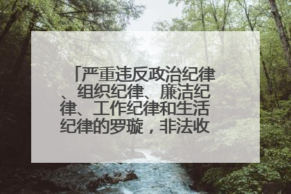 严重违反政治纪律、组织纪律、廉洁纪律、工作纪律和生活纪律的罗璇，非法收受他人巨额财物