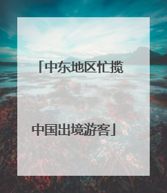 中东地区忙揽中国出境游客