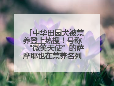 中华田园犬被禁养登上热搜！号称“微笑天使”的萨摩耶也在禁养名列 网友不解西安多部门回应