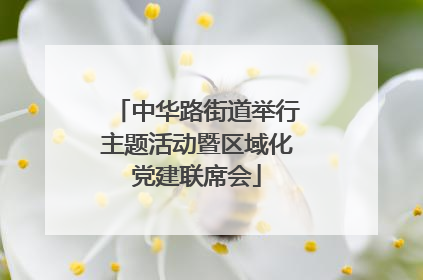 中华路街道举行主题活动暨区域化党建联席会