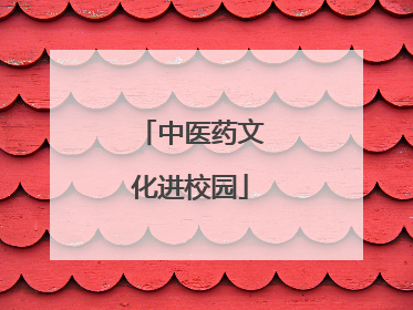 中医药文化进校园