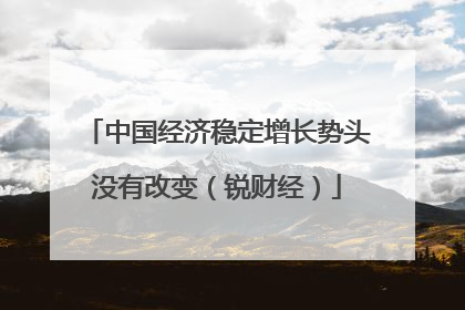 中国经济稳定增长势头没有改变（锐财经）