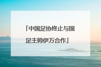 中国足协终止与国足主帅伊万合作