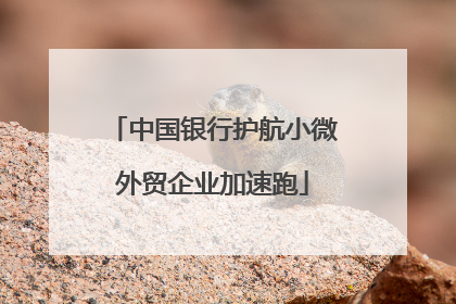 中国银行护航小微外贸企业加速跑