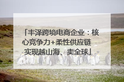 丰泽跨境电商企业：核心竞争力+柔性供应链 实现越山海、卖全球