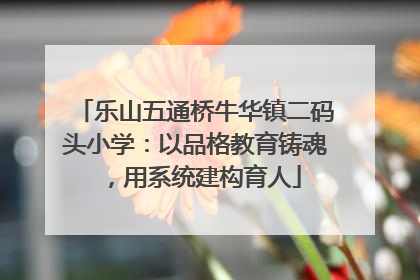 乐山五通桥牛华镇二码头小学：以品格教育铸魂，用系统建构育人