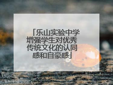 乐山实验中学增强学生对优秀传统文化的认同感和自豪感