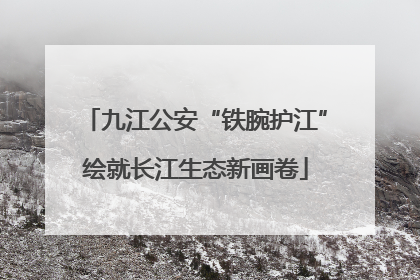 九江公安“铁腕护江”绘就长江生态新画卷