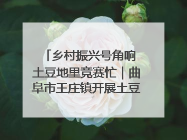 乡村振兴号角响 土豆地里竞赛忙｜曲阜市王庄镇开展土豆收获劳动竞赛