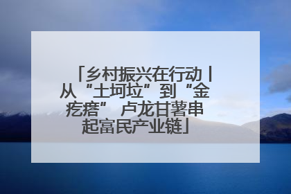乡村振兴在行动丨从“土坷垃”到“金疙瘩” 卢龙甘薯串起富民产业链