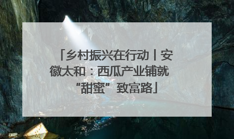 乡村振兴在行动丨安徽太和：西瓜产业铺就“甜蜜”致富路
