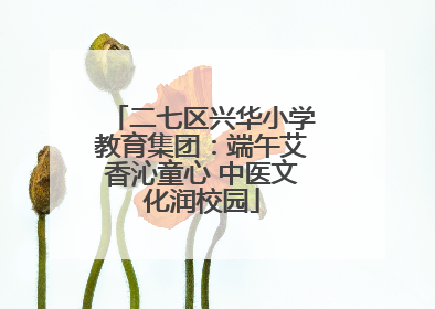 二七区兴华小学教育集团：端午艾香沁童心 中医文化润校园