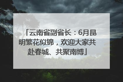 云南省副省长：6月昆明繁花似锦，欢迎大家共赴春城、共聚南博