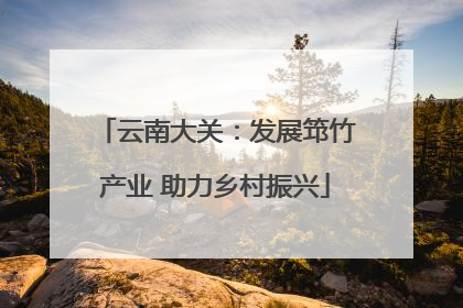 云南大关：发展筇竹产业 助力乡村振兴