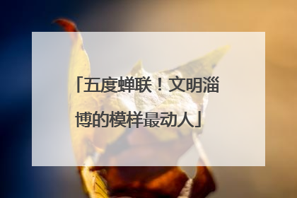 五度蝉联！文明淄博的模样最动人