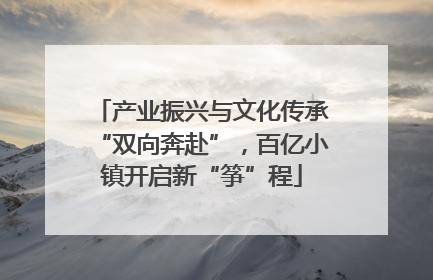 产业振兴与文化传承“双向奔赴”，百亿小镇开启新“筝”程