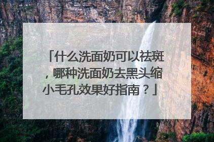 什么洗面奶可以祛斑，哪种洗面奶去黑头缩小毛孔效果好指南？