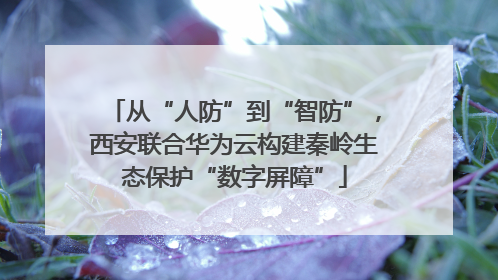 从“人防”到“智防”，西安联合华为云构建秦岭生态保护“数字屏障”