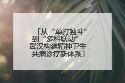从“单打独斗”到“多科联动” 武汉构建精神卫生共病诊疗新体系