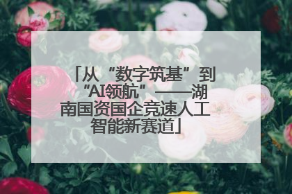 从“数字筑基”到“AI领航”——湖南国资国企竞速人工智能新赛道
