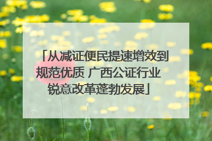 从减证便民提速增效到规范优质 广西公证行业锐意改革蓬勃发展