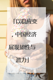 以稳应变，中国经济展现韧性与潜力