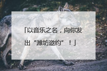 以音乐之名，向你发出“潍坊邀约”！