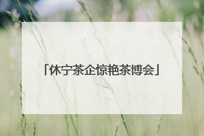 休宁茶企惊艳茶博会
