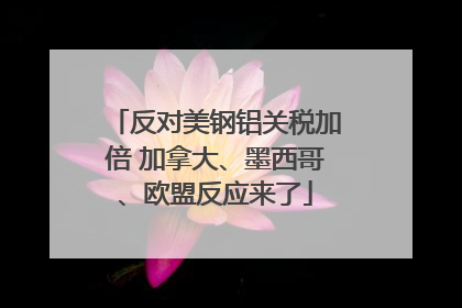 反对美钢铝关税加倍 加拿大、墨西哥、欧盟反应来了