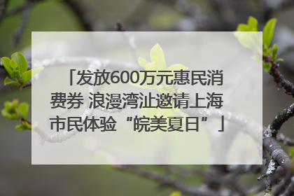 发放600万元惠民消费券 浪漫湾沚邀请上海市民体验“皖美夏日”