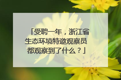 受聘一年，浙江省生态环境特邀观察员都观察到了什么？