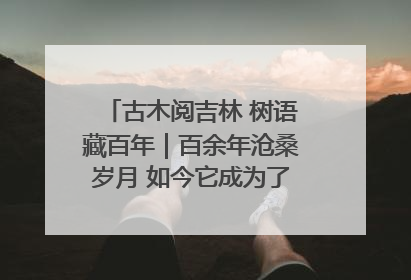 古木阅吉林 树语藏百年｜百余年沧桑岁月 如今它成为了“镇园之宝”