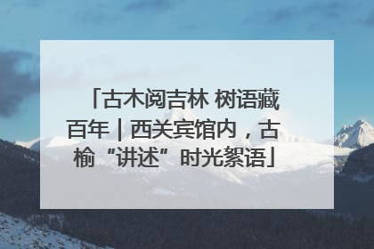 古木阅吉林 树语藏百年｜西关宾馆内，古榆“讲述”时光絮语