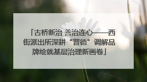 古桥新治 善治连心——西街派出所深耕“晋德”调解品牌绘就基层治理新画卷