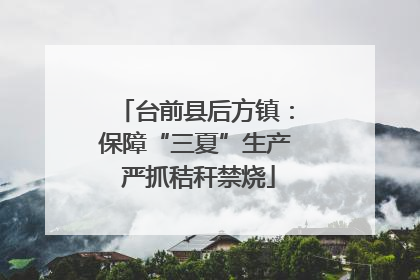 台前县后方镇：保障“三夏”生产 严抓秸秆禁烧