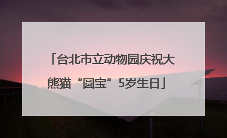 台北市立动物园庆祝大熊猫“圆宝”5岁生日