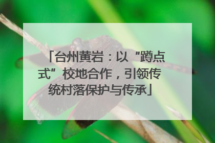 台州黄岩：以“蹲点式”校地合作，引领传统村落保护与传承
