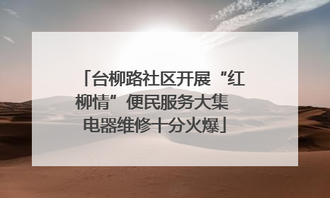台柳路社区开展“红柳情”便民服务大集 电器维修十分火爆