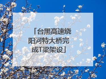 台黑高速绕阳河特大桥完成T梁架设