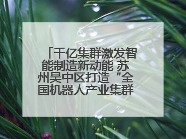 千亿集群激发智能制造新动能 苏州吴中区打造“全国机器人产业集群第一区”